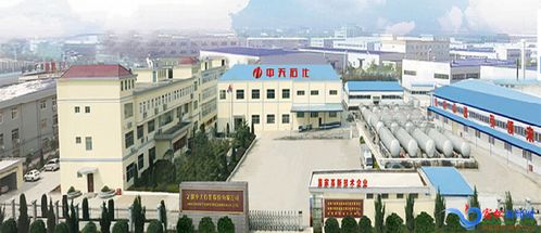 宿松经开区科技创新结硕果 转型升级谋新篇 实业